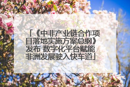 《中非产业链合作项目落地实施方案总纲》发布 数字化平台赋能非洲发展驶入快车道