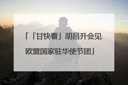 「甘快看」胡昌升会见欧盟国家驻华使节团