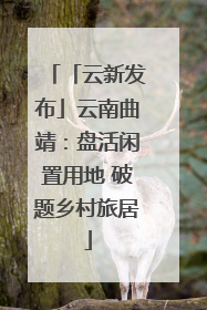 「云新发布」云南曲靖：盘活闲置用地 破题乡村旅居