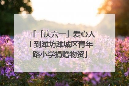 「庆六一」爱心人士到潍坊潍城区青年路小学捐赠物资
