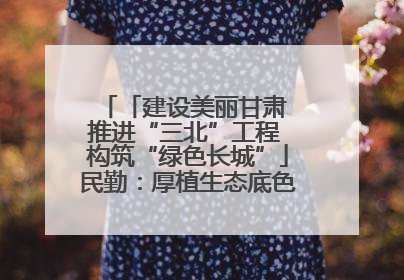 「建设美丽甘肃 推进“三北”工程 构筑“绿色长城”」民勤：厚植生态底色 筑牢绿色屏障