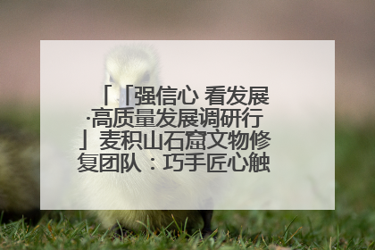 「强信心 看发展·高质量发展调研行」麦积山石窟文物修复团队：巧手匠心触摸“光阴的故事”