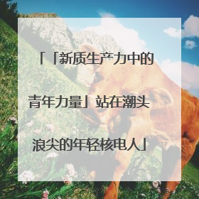「新质生产力中的青年力量」站在潮头浪尖的年轻核电人