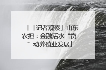「记者观察」山东农担：金融活水“贷”动养殖业发展