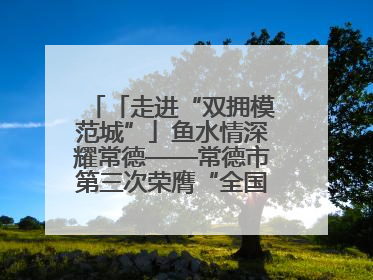「走进“双拥模范城”」鱼水情深耀常德——常德市第三次荣膺“全国双拥模范城”