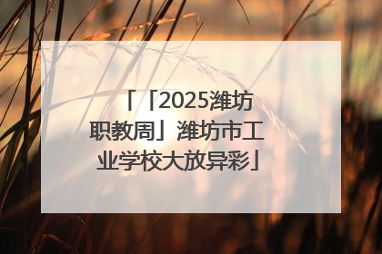 「2025潍坊职教周」潍坊市工业学校大放异彩