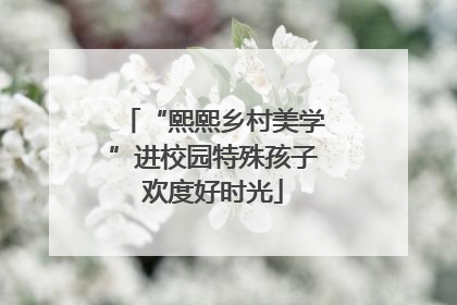 “熙熙乡村美学”进校园特殊孩子欢度好时光