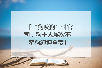 “狗咬狗”引官司，狗主人屡次不牵狗绳担全责
