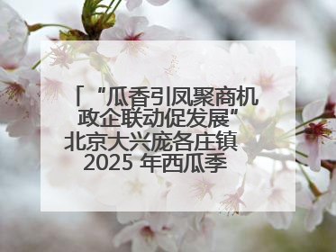 “瓜香引凤聚商机 政企联动促发展”北京大兴庞各庄镇 2025 年西瓜季政企联动产业推介活动圆满举行