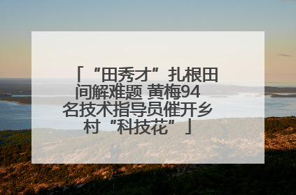 “田秀才”扎根田间解难题 黄梅94名技术指导员催开乡村“科技花”