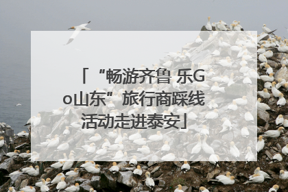 “畅游齐鲁 乐Go山东”旅行商踩线活动走进泰安