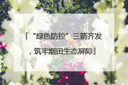 “绿色防控”三箭齐发，筑牢烟田生态屏障