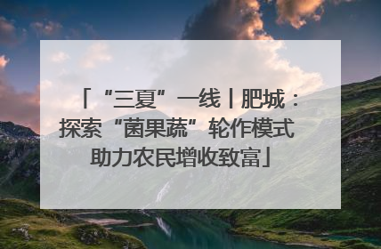 “三夏”一线丨肥城：探索“菌果蔬”轮作模式 助力农民增收致富