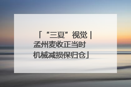 “三夏”视觉｜孟州麦收正当时 机械减损保归仓