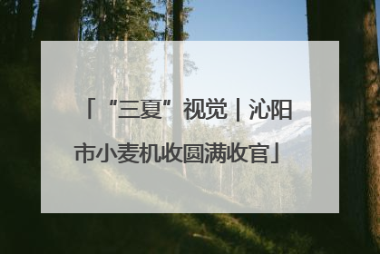 “三夏”视觉｜沁阳市小麦机收圆满收官