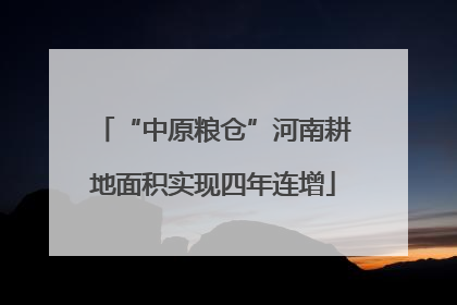 “中原粮仓”河南耕地面积实现四年连增