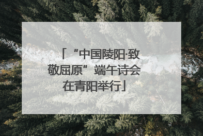 “中国陵阳·致敬屈原”端午诗会在青阳举行