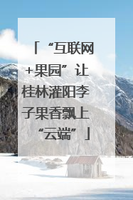 “互联网+果园”让桂林灌阳李子果香飘上“云端”