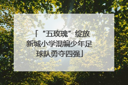 “五玫瑰”绽放 新城小学混编少年足球队勇夺四强