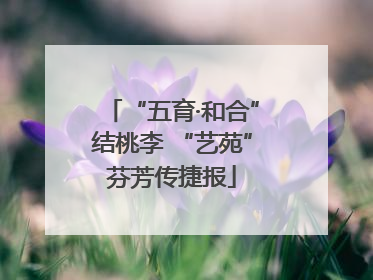 “五育·和合”结桃李 “艺苑”芬芳传捷报