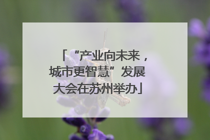 “产业向未来，城市更智慧”发展大会在苏州举办