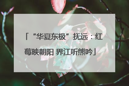 “华夏东极”抚远：红莓映朝阳 界江听熊吟