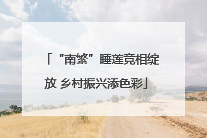 “南繁”睡莲竞相绽放 乡村振兴添色彩