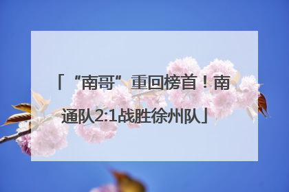 “南哥”重回榜首！南通队2:1战胜徐州队