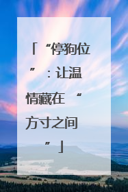 “停狗位 ”：让温情藏在 “方寸之间 ”