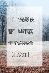 “光影夜巷”城市嘉年华点亮徐汇滨江