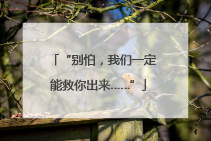 “别怕，我们一定能救你出来……”