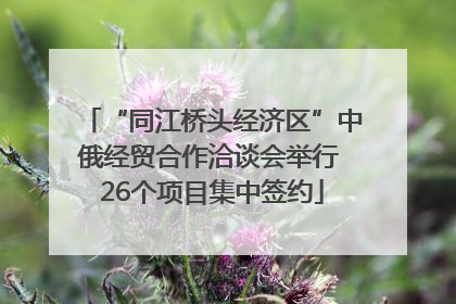 “同江桥头经济区”中俄经贸合作洽谈会举行 26个项目集中签约