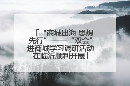 “商城出海 思想先行”——“双会”进商城学习调研活动在临沂顺利开展