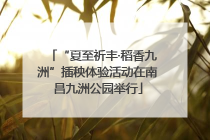 “夏至祈丰·稻香九洲”插秧体验活动在南昌九洲公园举行