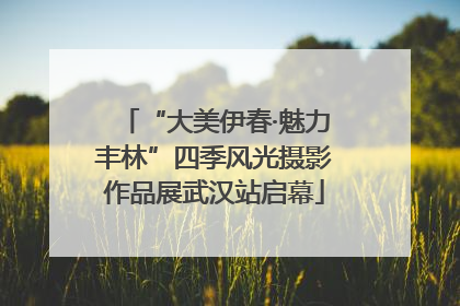 “大美伊春·魅力丰林”四季风光摄影作品展武汉站启幕