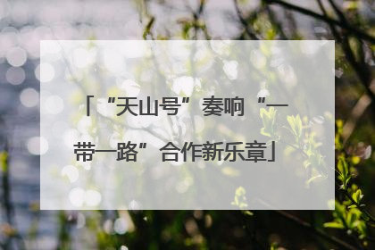 “天山号”奏响“一带一路”合作新乐章