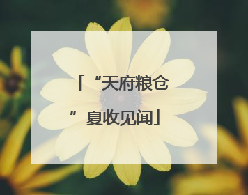 “天府粮仓”夏收见闻