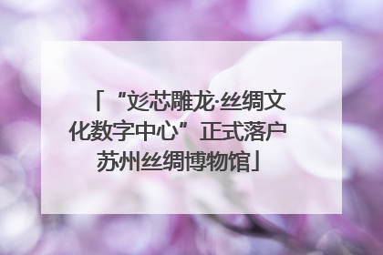 “彣芯雕龙·丝绸文化数字中心”正式落户苏州丝绸博物馆