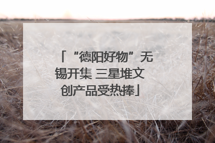 “德阳好物”无锡开集 三星堆文创产品受热捧