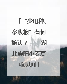 “少用种、多收粮”有何秘诀？——湖北襄阳小麦夏收见闻