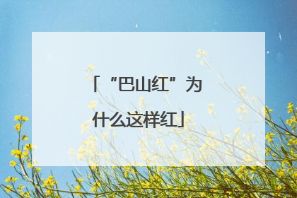 “巴山红”为什么这样红