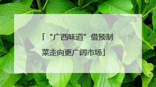 “广西味道”借预制菜走向更广阔市场