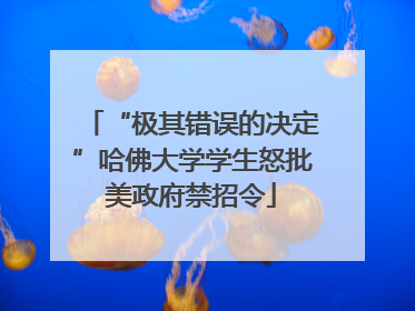 “极其错误的决定”哈佛大学学生怒批美政府禁招令