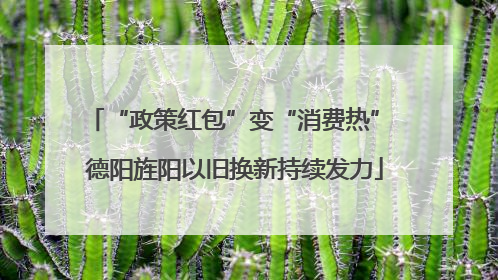 “政策红包”变“消费热” 德阳旌阳以旧换新持续发力