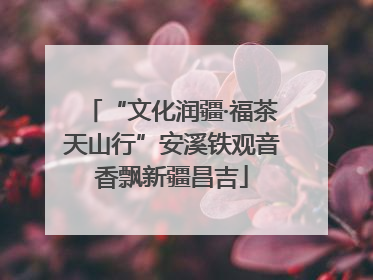 “文化润疆·福茶天山行”安溪铁观音香飘新疆昌吉
