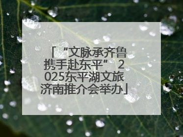 “文脉承齐鲁 携手赴东平” 2025东平湖文旅济南推介会举办