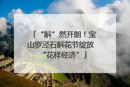 “斛”然开朗！宝山罗泾石斛花节绽放“花样经济”