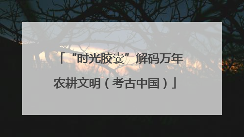 “时光胶囊”解码万年农耕文明（考古中国）