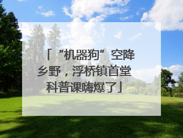 “机器狗”空降乡野，浮桥镇首堂科普课嗨爆了