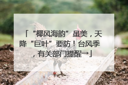 “椰风海韵”虽美，天降“巨叶”要防！台风季，有关部门提醒→